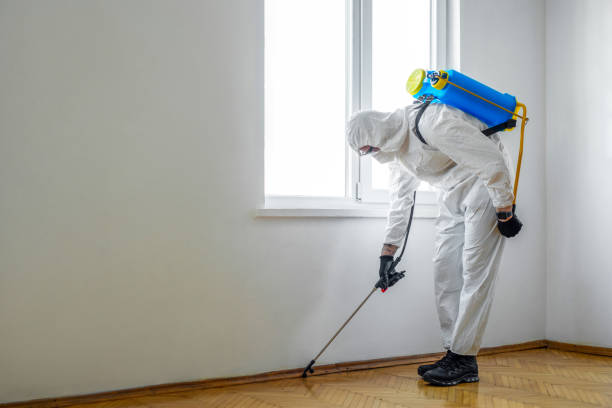 Best Termite Inspection and Treatment  in Toledo, IA